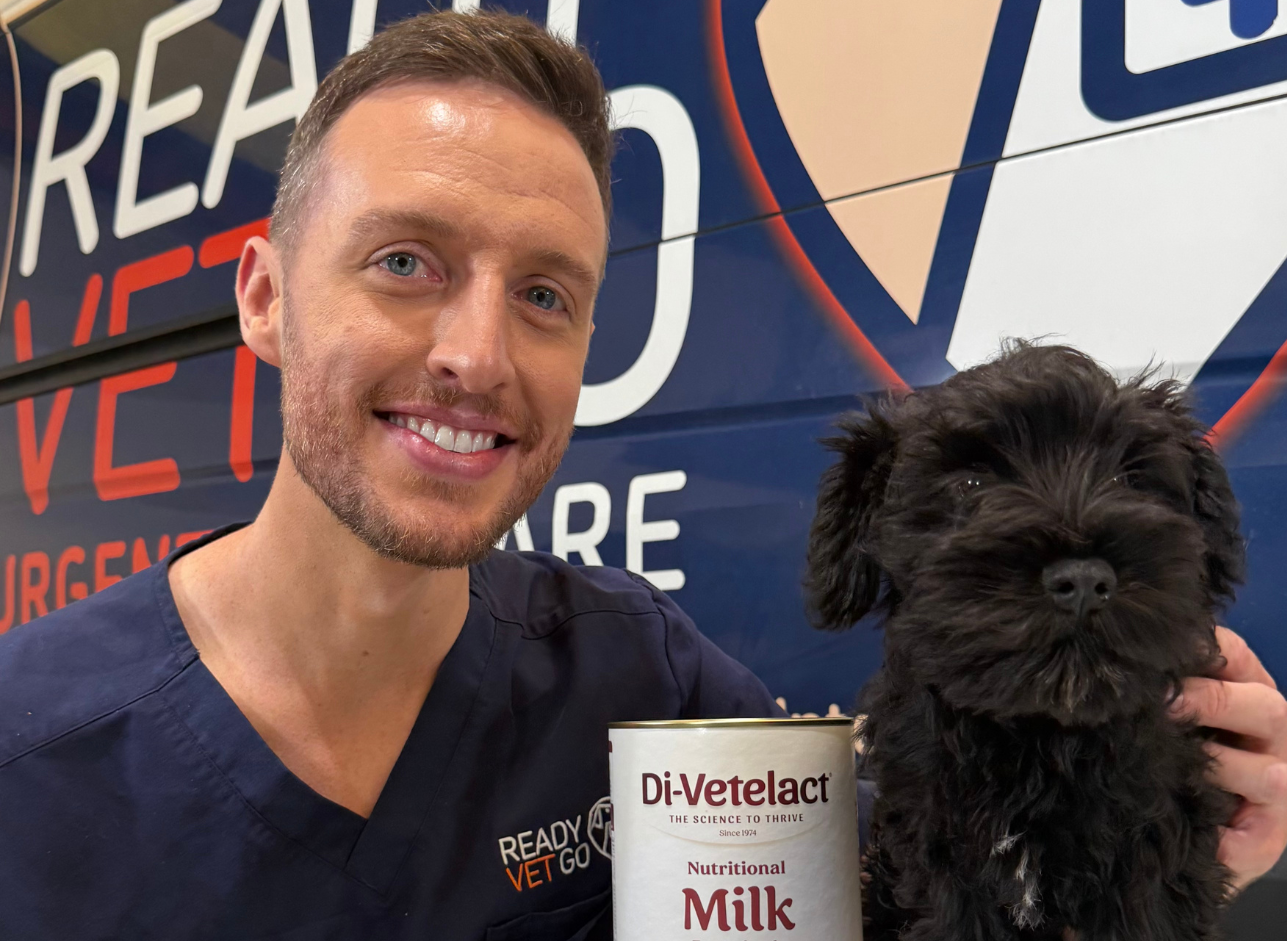 Ready Vet Go Recommends Di-Vetelact: The Importance of Nutrition for Pets at Every Life Stage