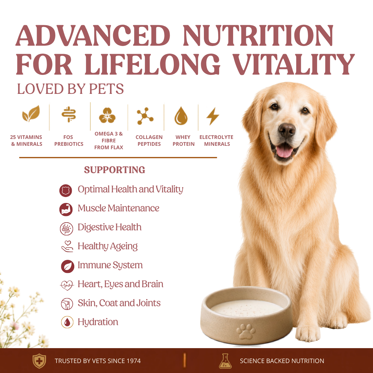 Nutritional Milk For Dogs