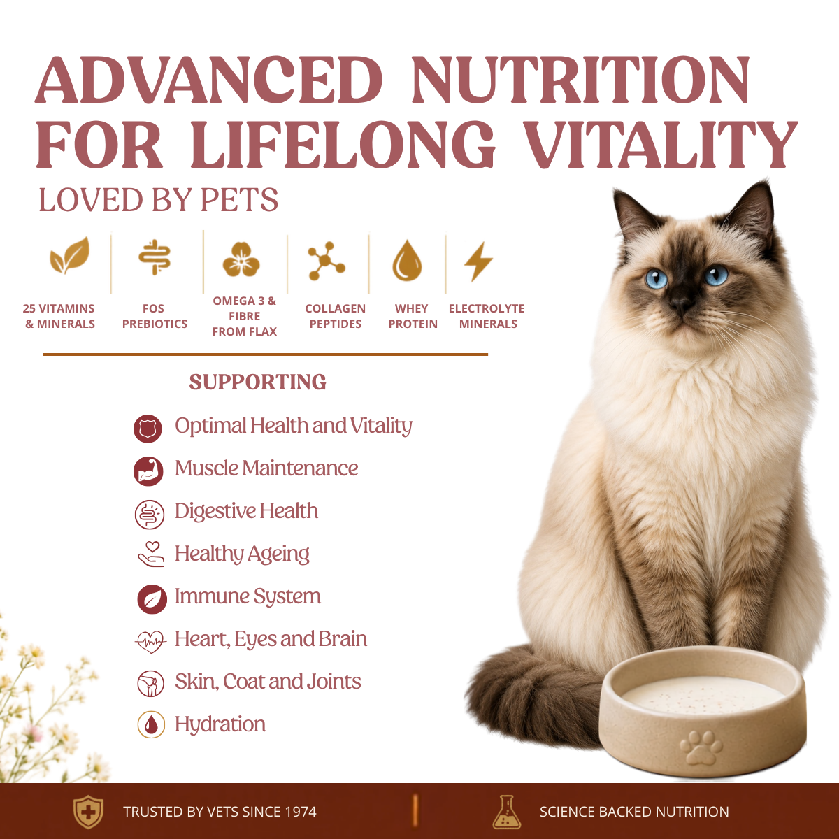 Nutritional Milk For Cats