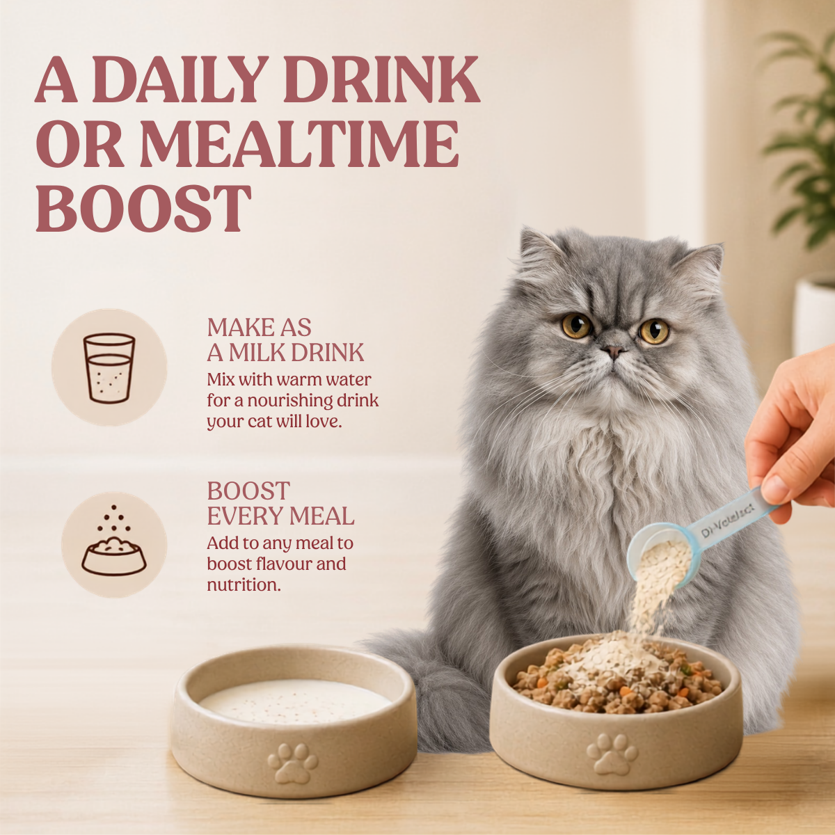 Nutritional Milk For Cats