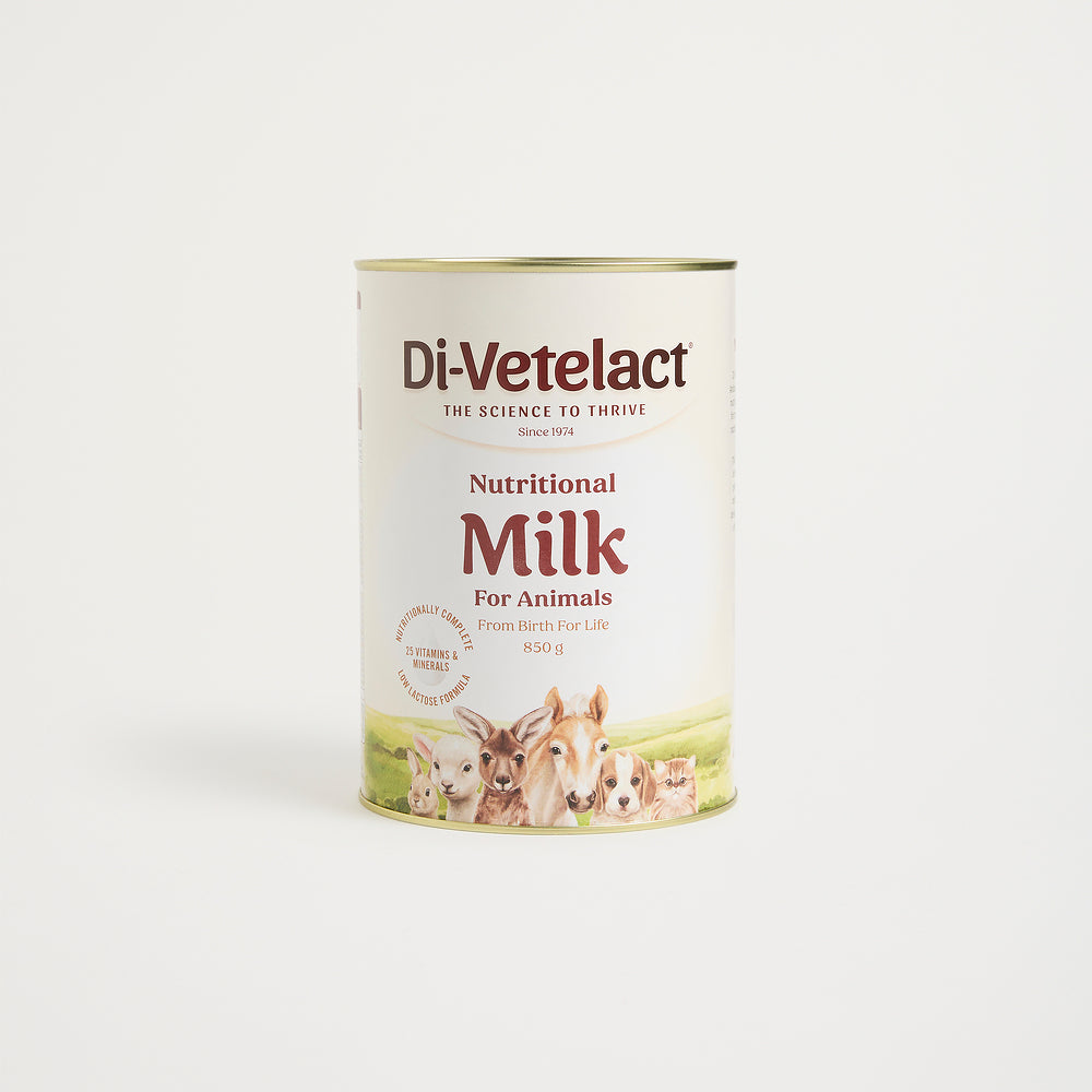Di-Vetelact Nutritional Milk 850g Can on a light background