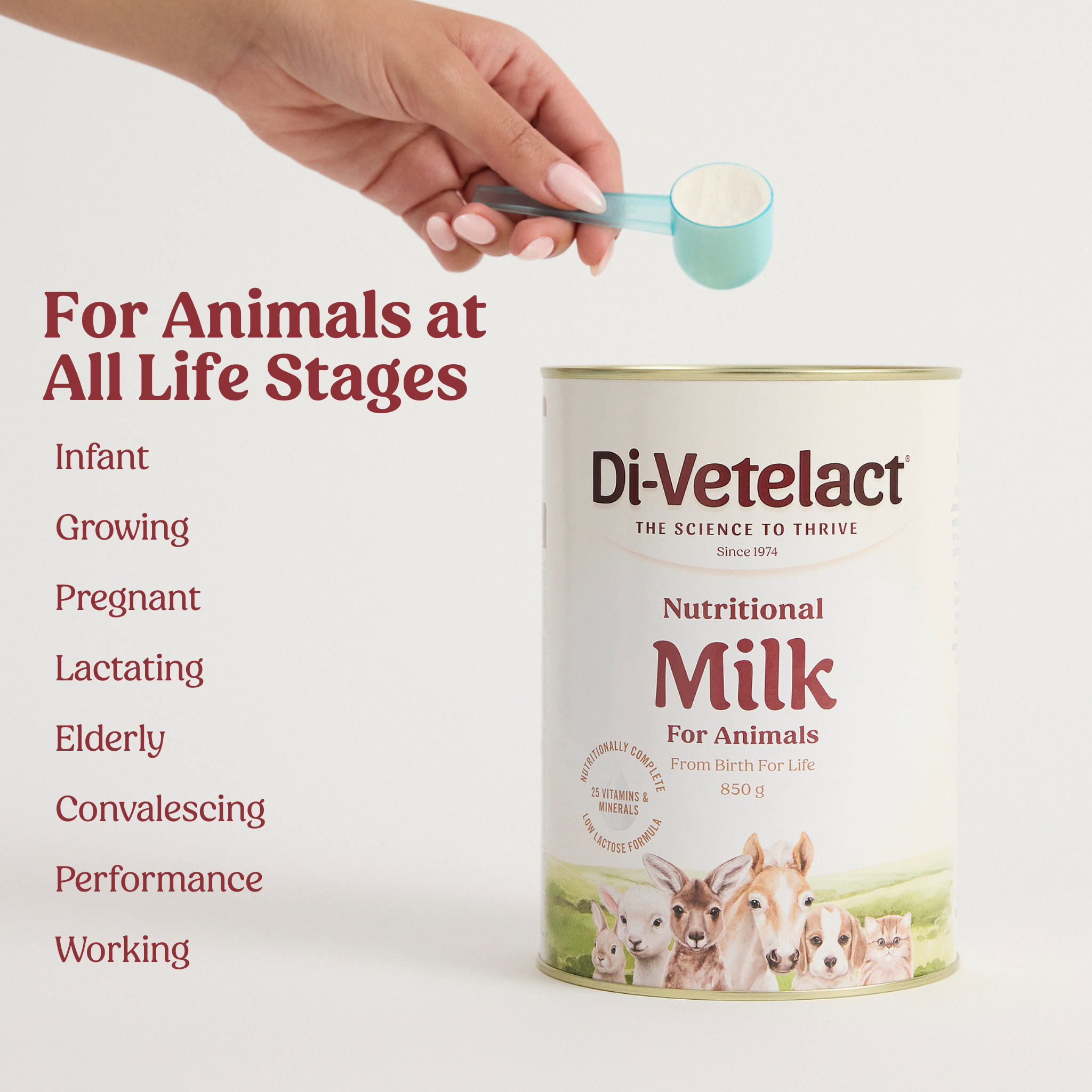 Nutritional Milk For Animals