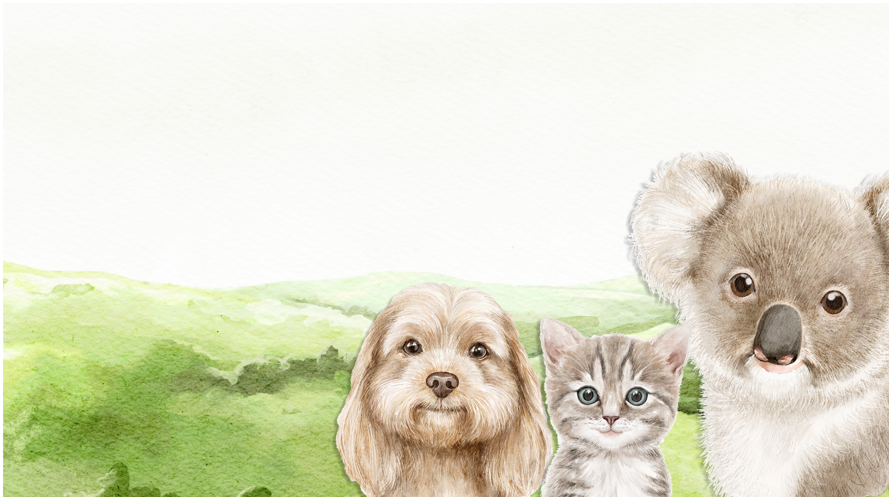 Illustrated rolling green hills with dog, cat, and koala