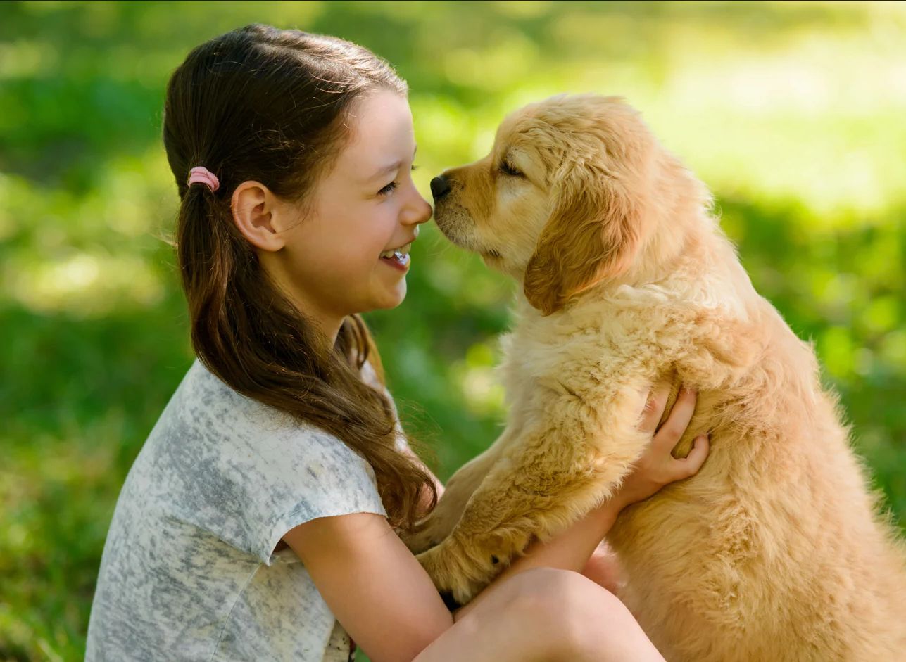 What are the key nutritional benefits of Di‑Vetelact for pets?