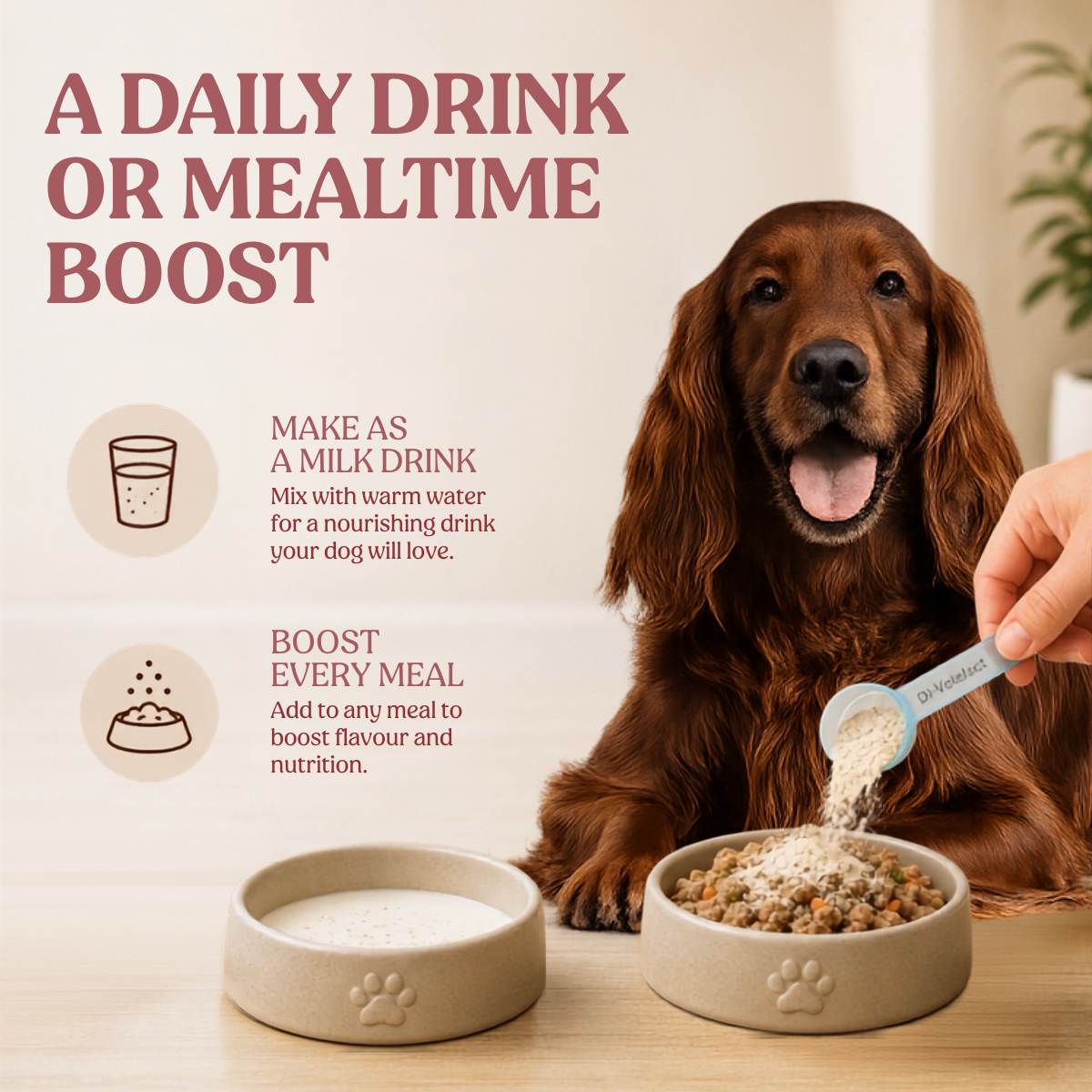 Nutritional Milk For Dogs