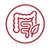 Promotes Healthy Gut and Digestive Function