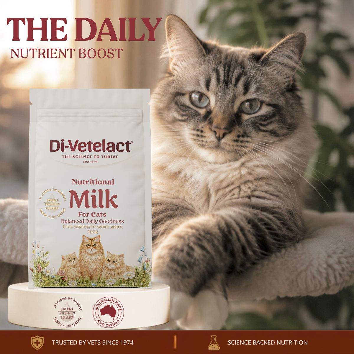 Nutritional Milk For Cats