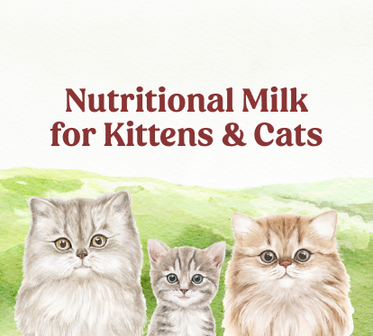 Nutritional Milk for Kittens & Cats