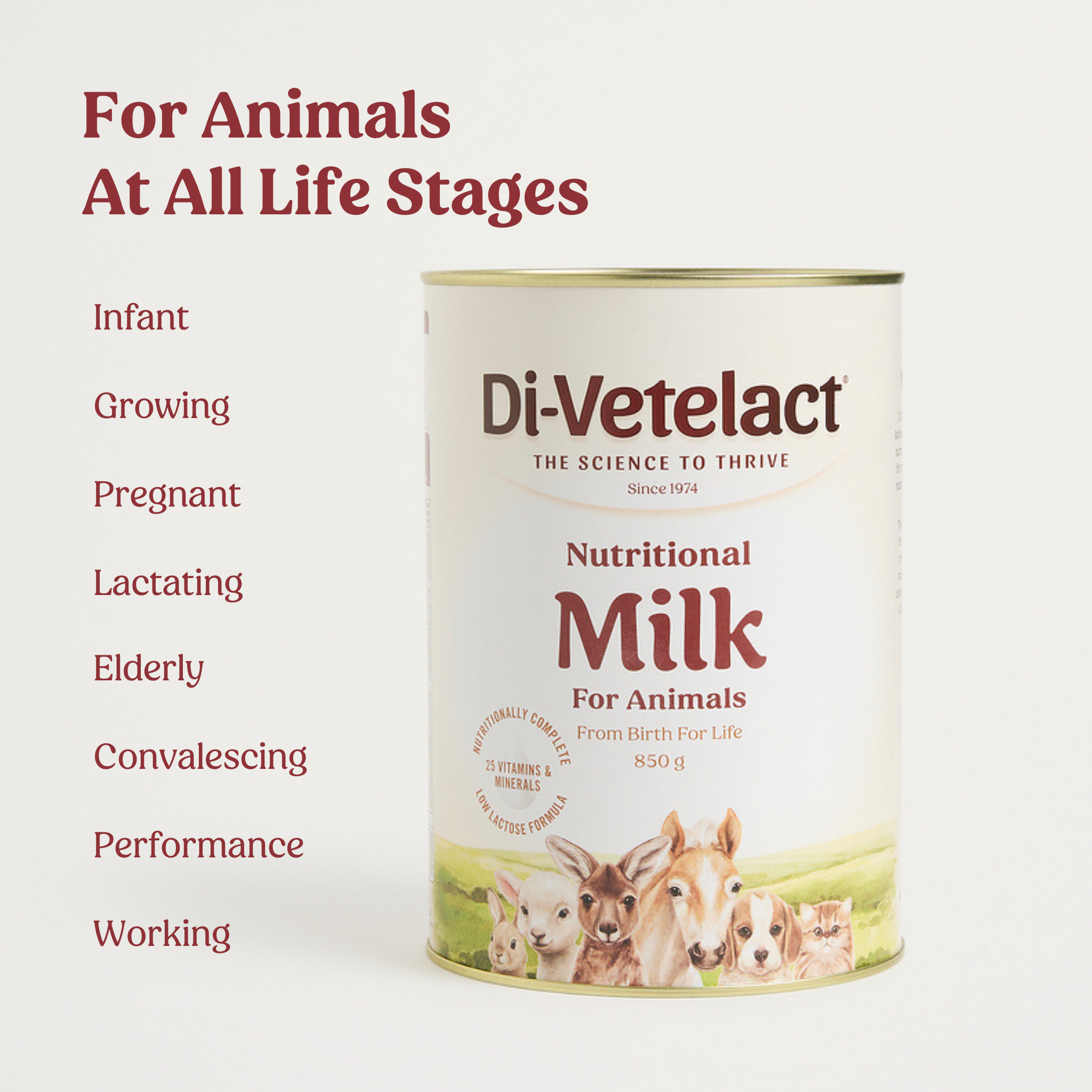 Nutritional Milk For Animals