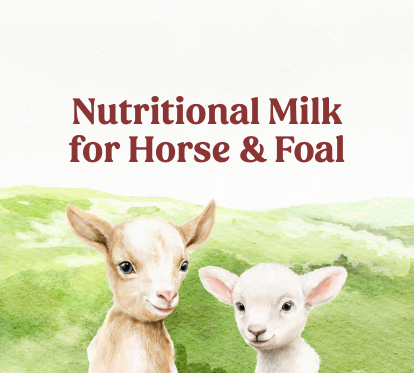 Nutritional Milk for Horse & Foal