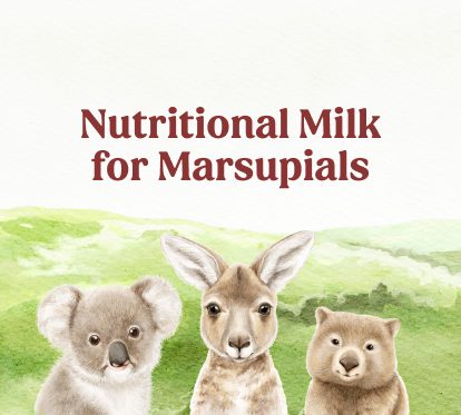 Nutritional Milk for Marsupials
