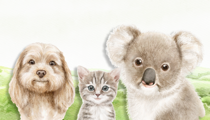 Illustrated rolling green hills with dog, cat, and koala