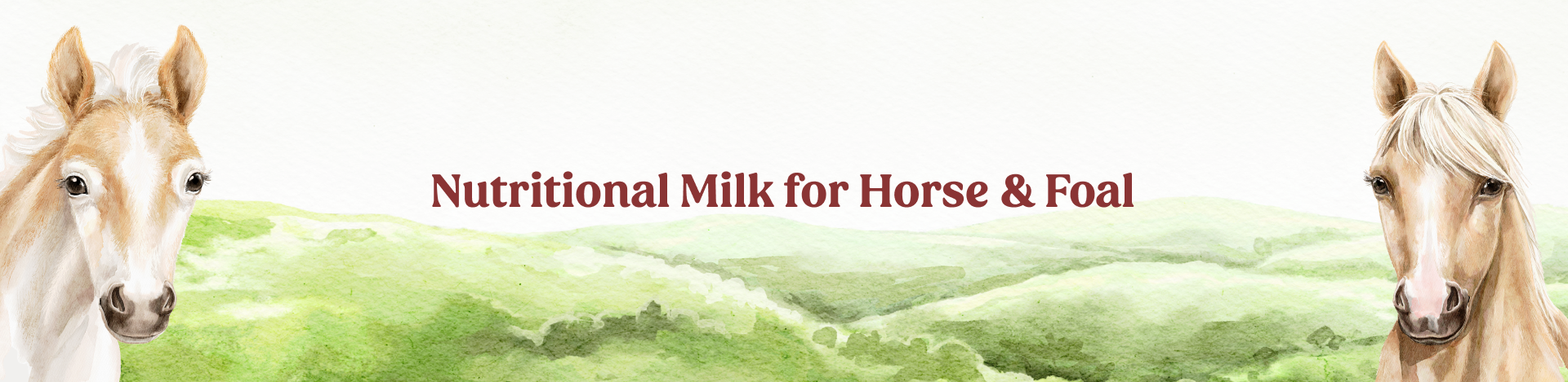 Nutritional Milk for Horse & Foal Banner