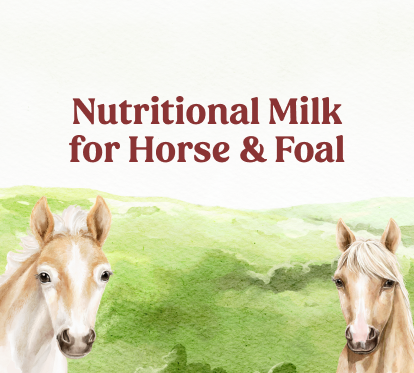 Nutritional Milk for Horse & Faol