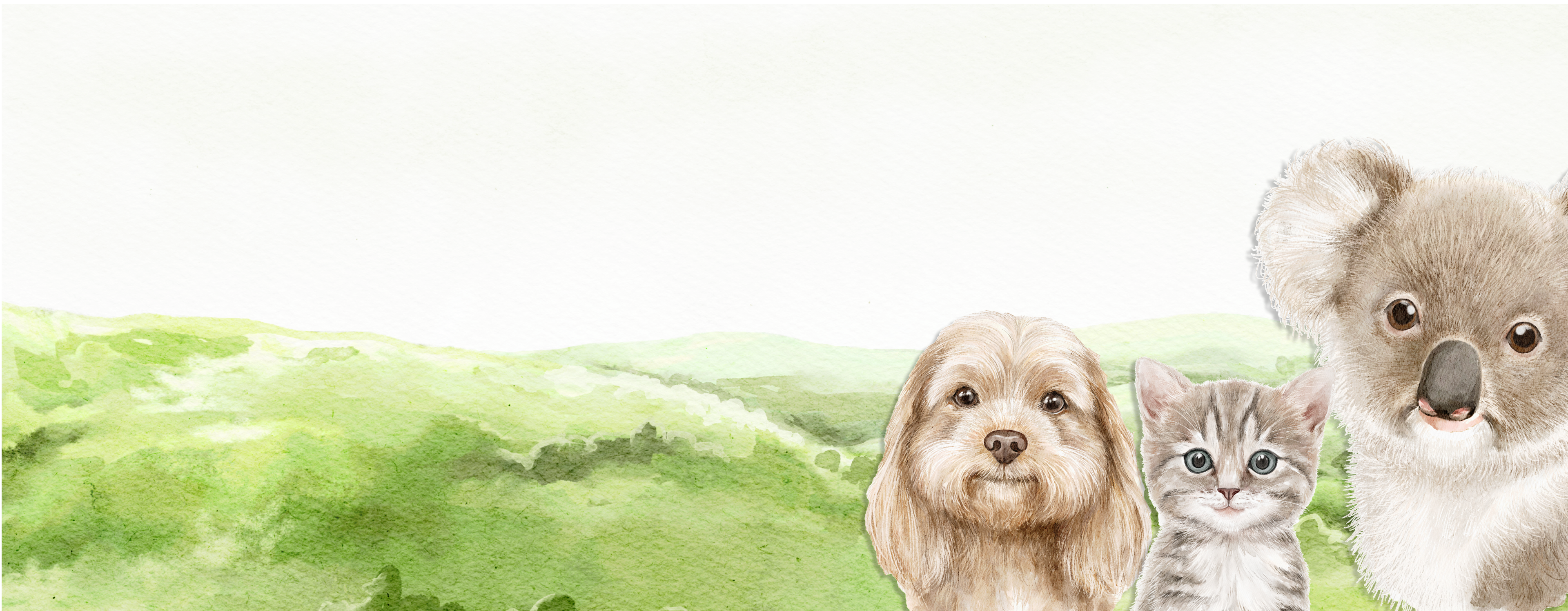 Illustrated rolling green hills with dog, cat, and koala
