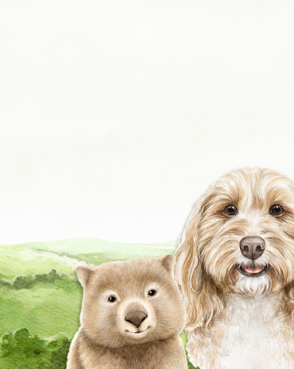 Illustrated rolling green hills with wombat and dog.