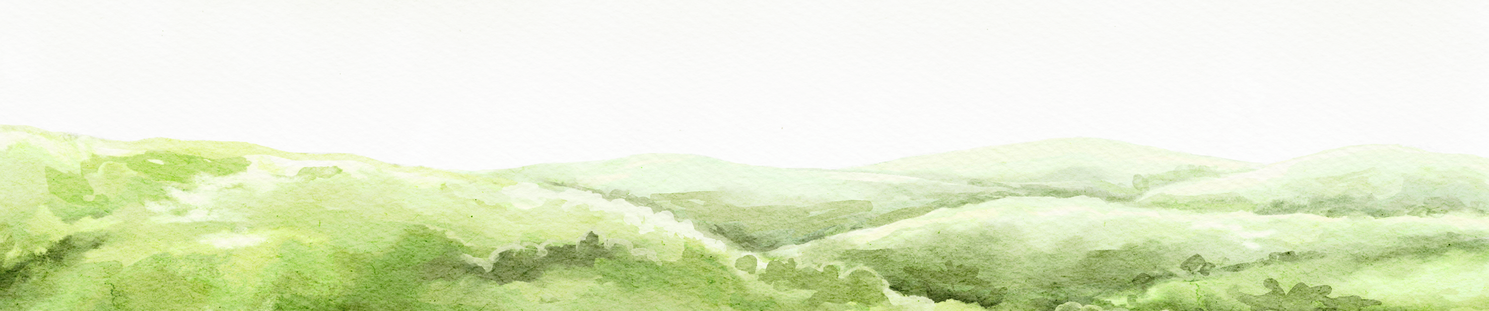 Illustrated rolling green hills banner.