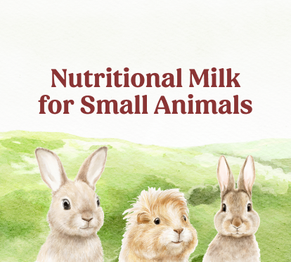 Nutritional Milk for Small Animals