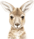 Illustrated kangaroo profile