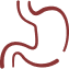 Gut health & digestion icon